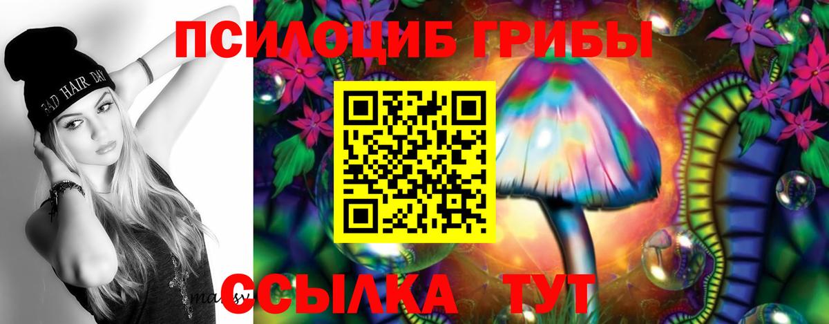 Кунгур  купить наркотик  Вход с VPN  Галлюциногенные грибы мицелий 