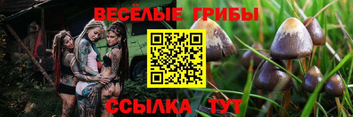 Псилоцибиновые грибы мицелий Кунгур